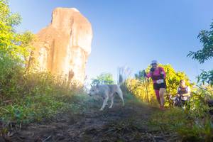 BIB: 
                            <button type="button" onclick="openModal(19343270)" class="btn btn-primary btn-sm float-right btn-popup" data-toggle="modal" data-target=".modal-high-quality">
                        <i class="fas fa-shopping-cart"></i> Add to Cart
                    </button>
                                            <button type="button" onclick="isThisMe(19343270, true)" class="btn btn-success btn-sm float-right btn-popup btn-isme hidden" data-toggle="tooltip" data-placement="bottom" title="นี่คือรูปของคุณใช่ไหม คลิกที่นี่เพื่อเอาเข้าอัลบั้ม">
                        <i class="fas fa-plus"></i> Add to album
                    </button>
                    <button type="button" onclick="isThisMe(19343270, false)" class="btn btn-warning btn-sm float-right btn-popup btn-isnotme hidden">
                        <i class="fas fa-ban"></i> Remove from album
                    </button>